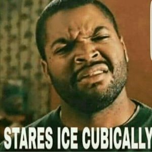 Meet your Posher, Roman